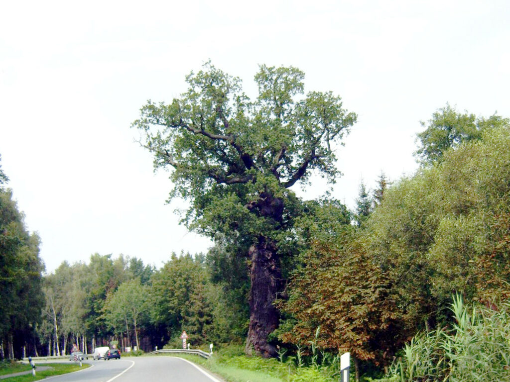 Von Chron-Paul - Eigenes Werk, CC BY-SA 4.0, https://commons.wikimedia.org/w/index.php?curid=44022078